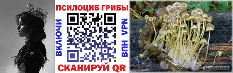 Псилоцибиновые грибы MAGIC MUSHROOMS Таганрог