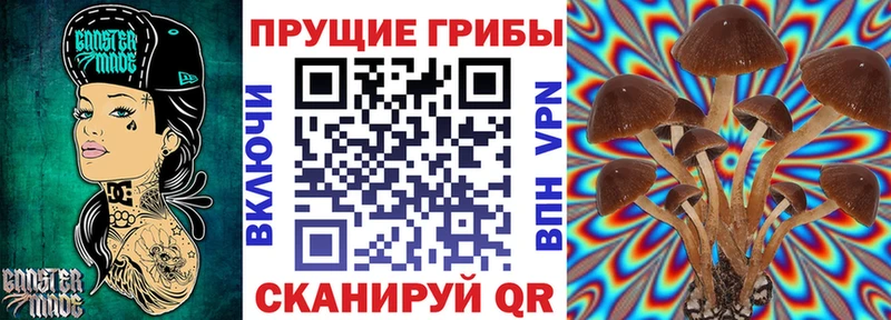 Галлюциногенные грибы Cubensis  Таганрог 