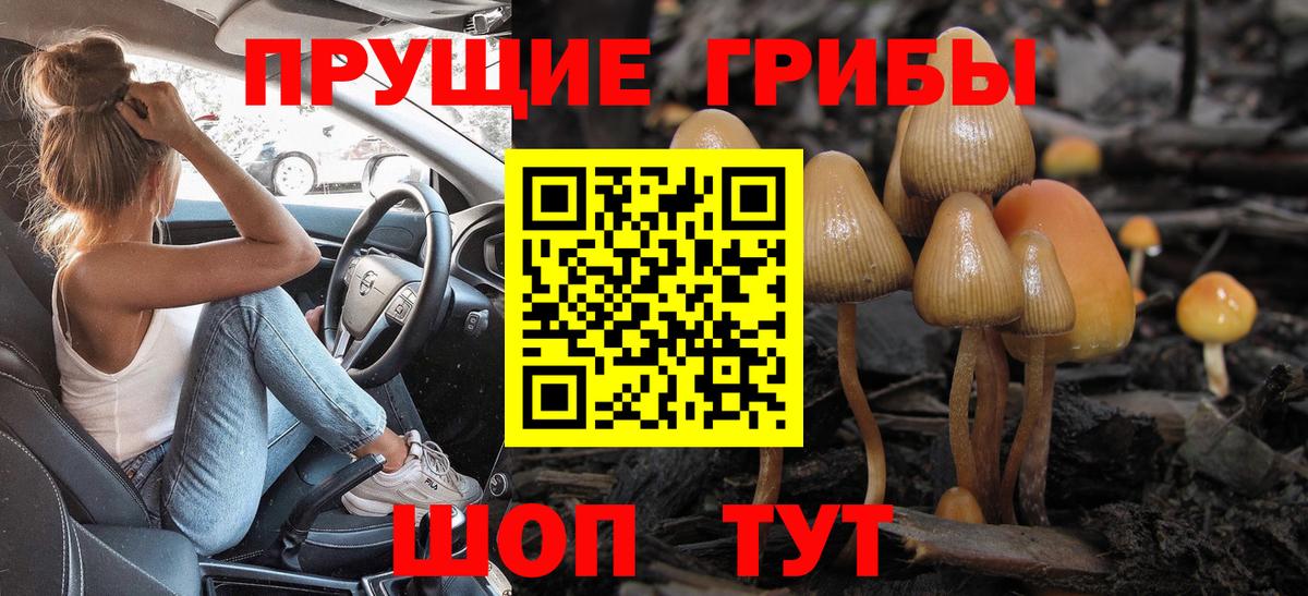 Таганрог  Псилоцибиновые грибы мухоморы  наркота  Вход с VPN 